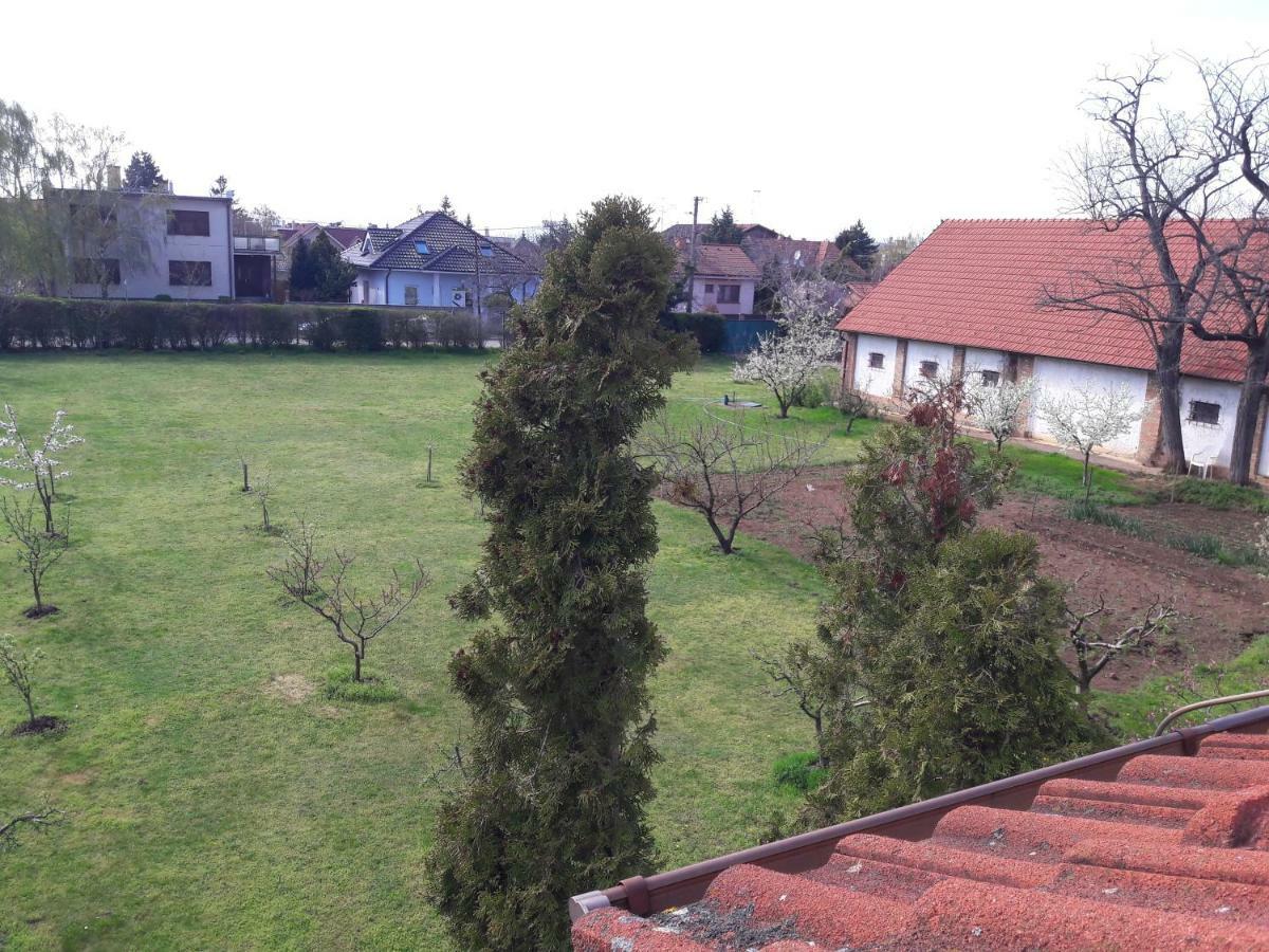 Villa Kysucka Senec Eksteriør bilde